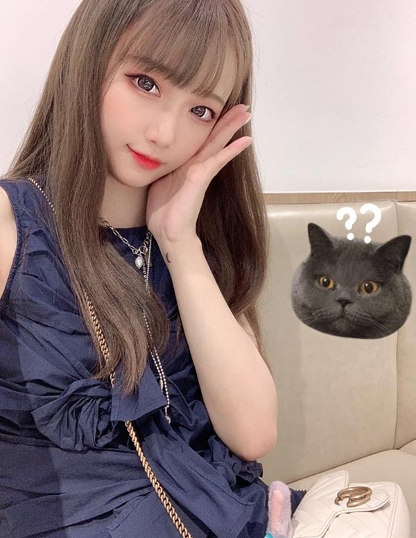 芝加哥模特微信